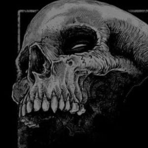 Meet your Posher, Louie